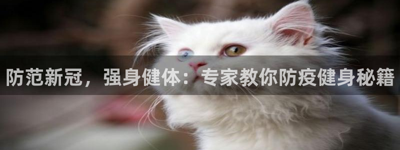 QY球友会体育官方平台